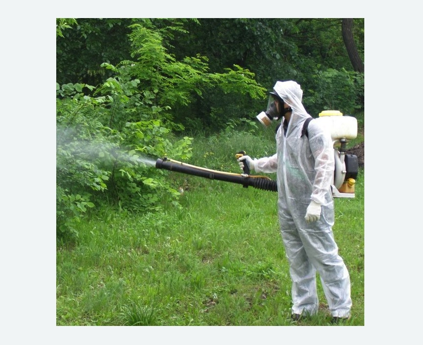 обработка территории от клещей в Ульяновке