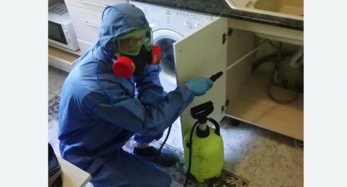 Уничтожение муравьев в квартире. Ульяновка