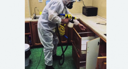 Уничтожение насекомых в квартире. Ульяновка
