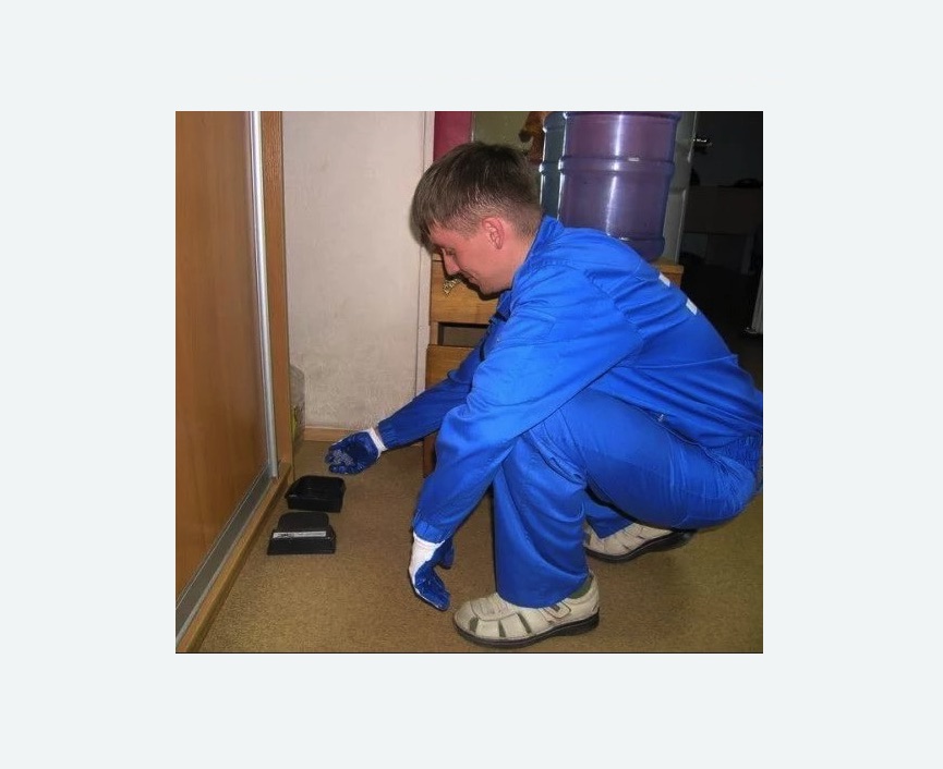 Дератизация крыс в Ульяновке