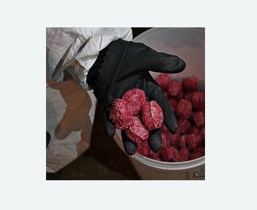 Обработка от крыс в Ульяновке