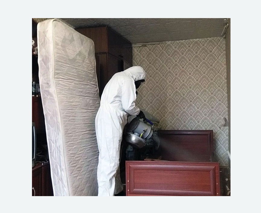 дезинфекция от клопов в Ульяновке