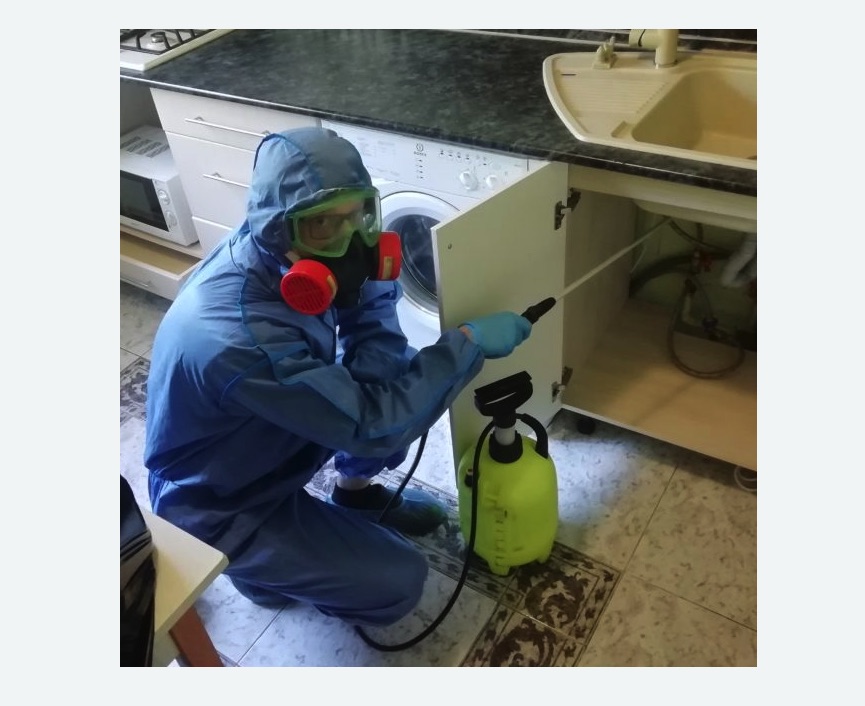 обработка от муравьев в квартире в Ульяновке