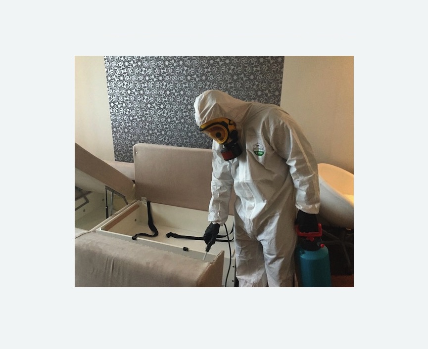 уничтожение клопов в квартире в Ульяновке