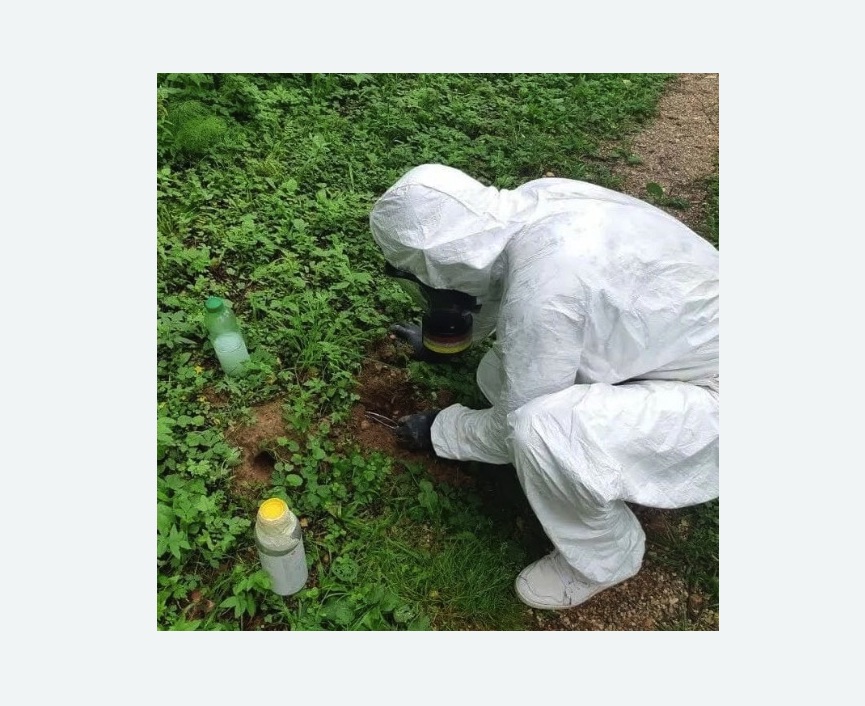 уничтожение кротов на участке в Ульяновке