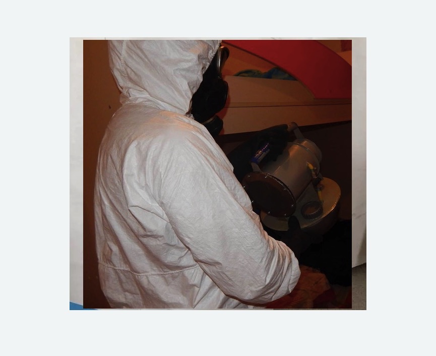 Дезинфекция от муравьев в Ульяновке