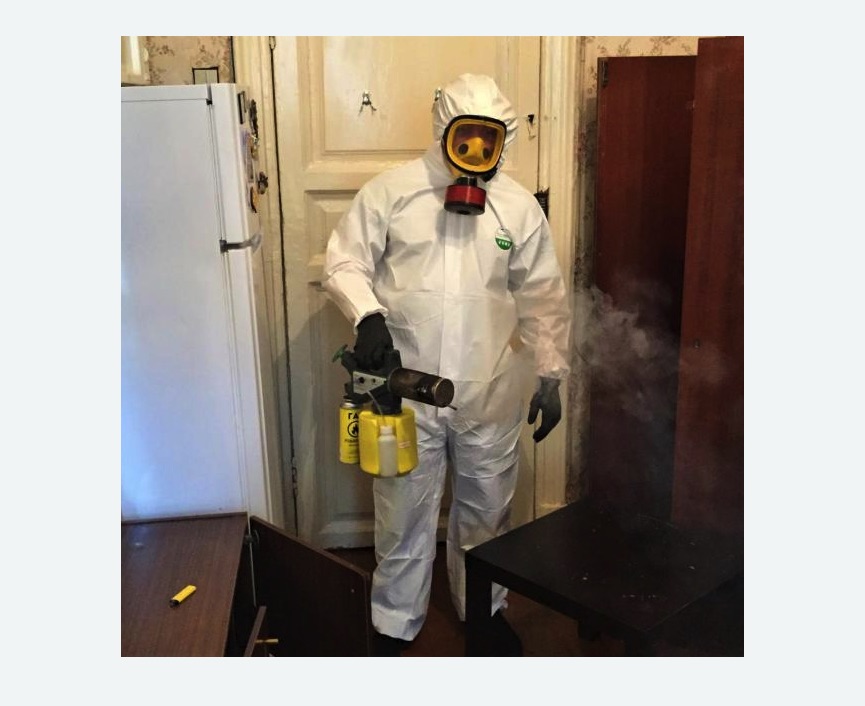 уничтожение муравьев в квартире в Ульяновке